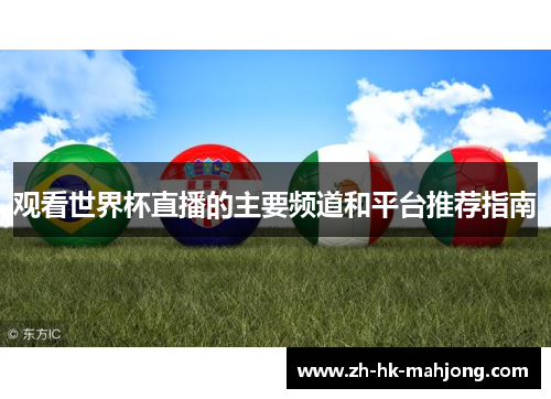 观看世界杯直播的主要频道和平台推荐指南