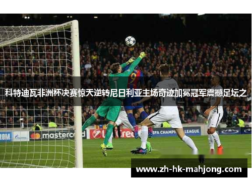 科特迪瓦非洲杯决赛惊天逆转尼日利亚主场奇迹加冕冠军震撼足坛之